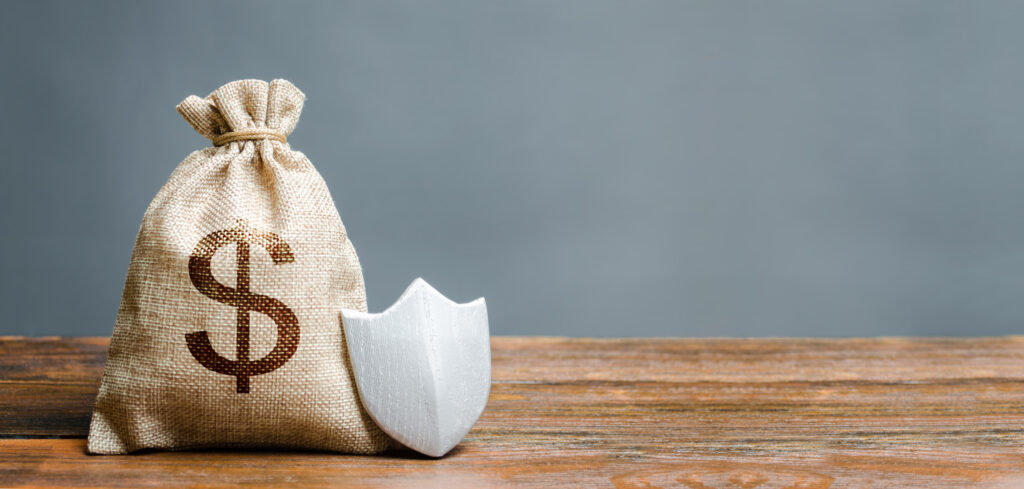 Closed bag with dollar sign on it next to a shield. Healthcare fraud concept.